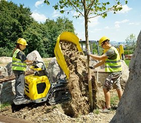 Mini tombereau Wacker Neuson DT10 - 9